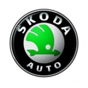 Skoda (14)